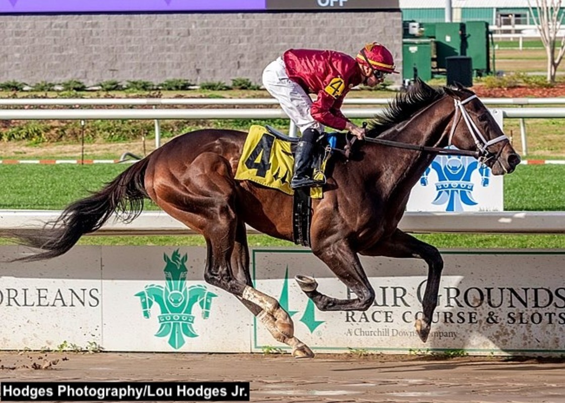 Download app from appStore