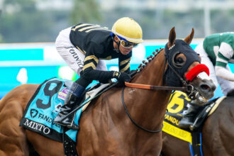 Download app from appStore