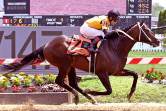 Download app from appStore