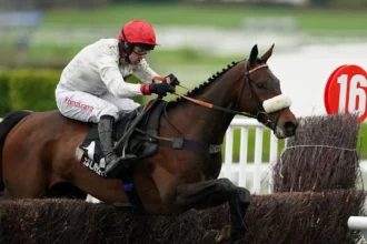 Download app from appStore