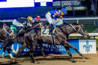 Download app from appStore