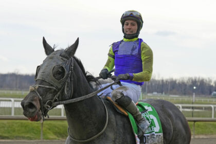 Download app from appStore