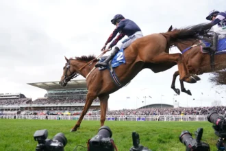 Download app from appStore