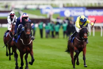 Download app from appStore