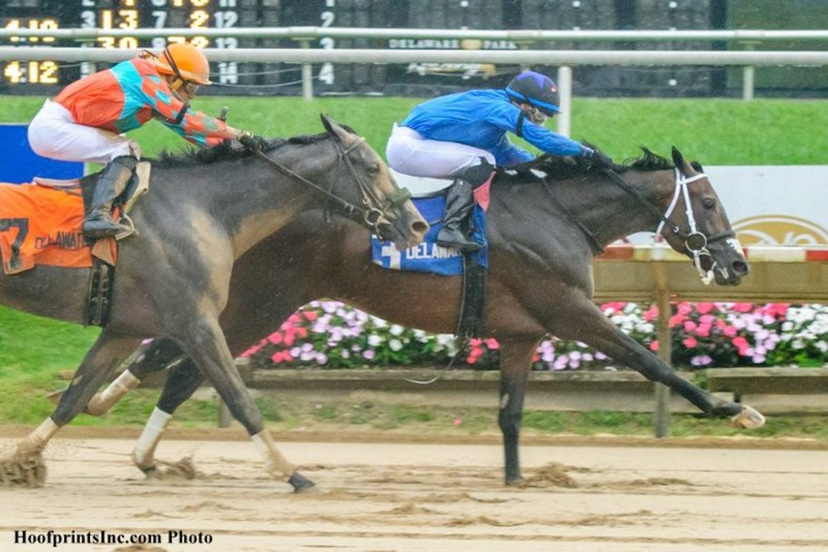 Download app from appStore