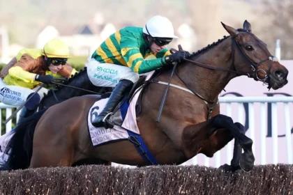 Download app from appStore