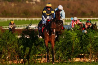 Download app from appStore