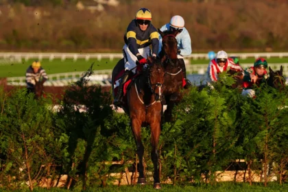 Download app from appStore