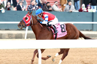 Download app from appStore