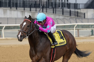 Download app from appStore