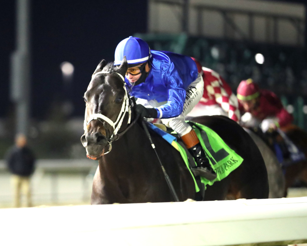 Download app from appStore