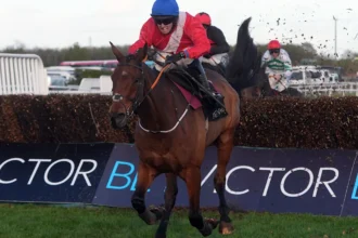 Download app from appStore