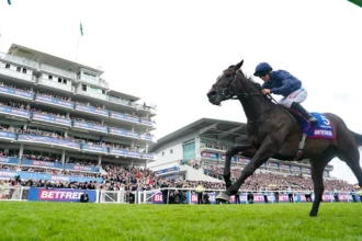 Download app from appStore