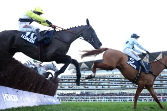 Download app from appStore