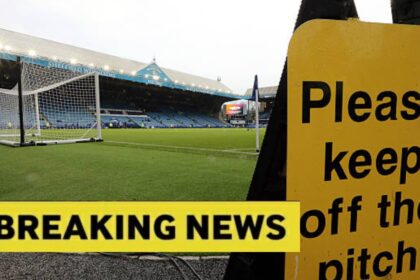 View of Hillsborough