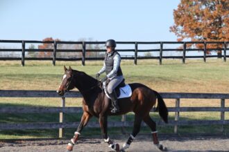 Yahoo lifestyle home