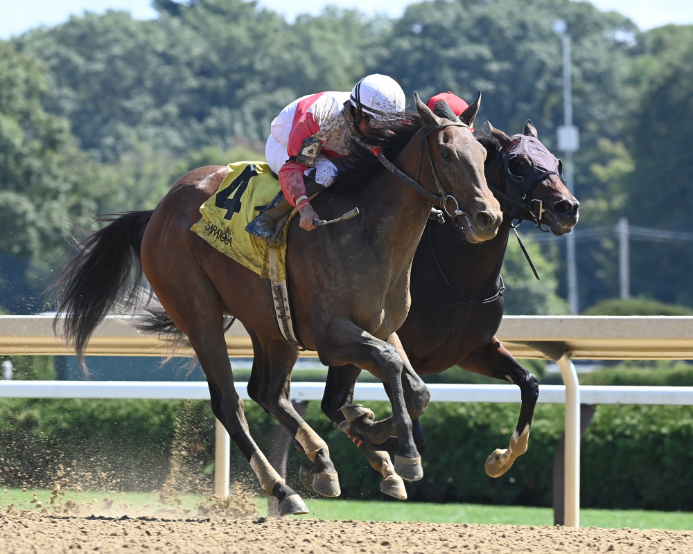 Download app from appStore