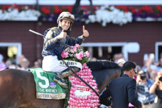 Download app from appStore