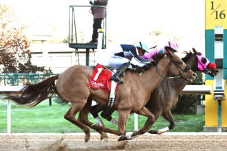 Download app from appStore