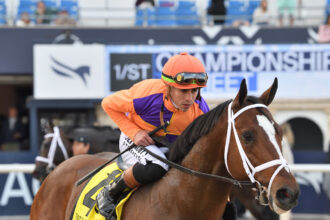 Download app from appStore