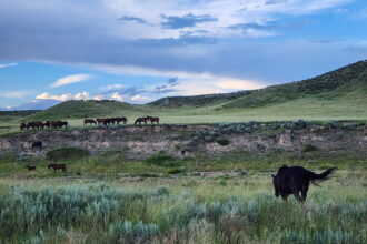 Yahoo lifestyle home