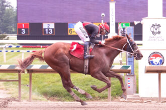 Download app from appStore