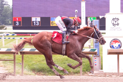 Download app from appStore