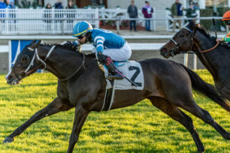 Download app from appStore