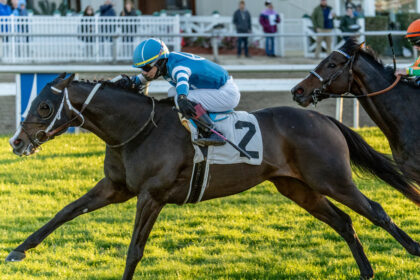 Download app from appStore