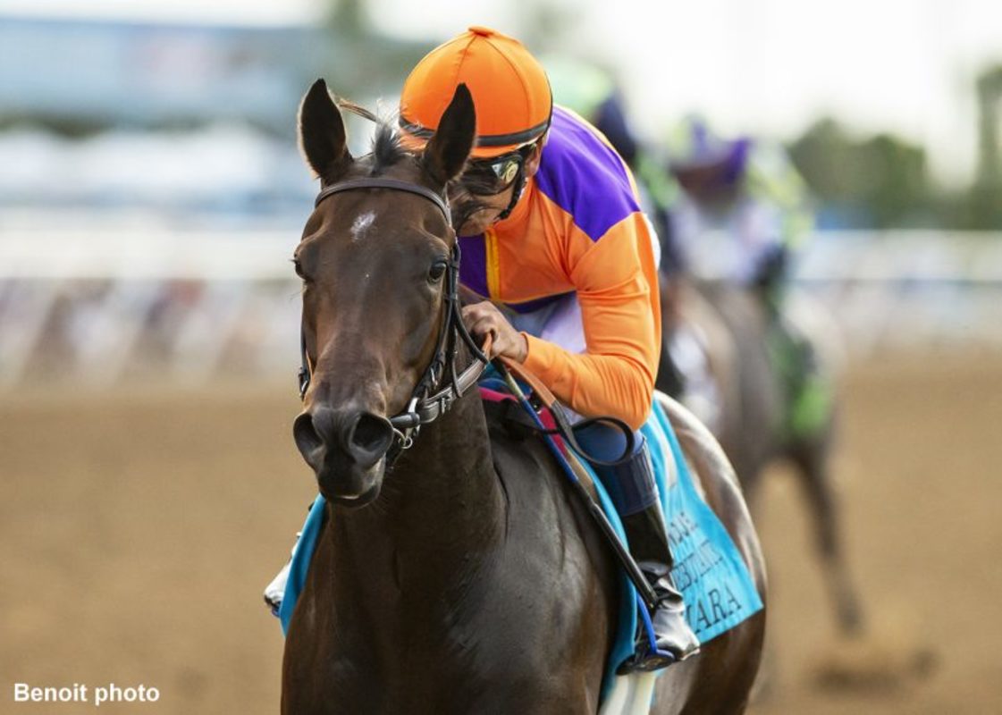 Download app from appStore