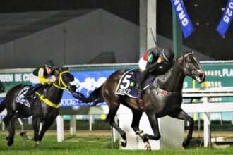 Download app from appStore