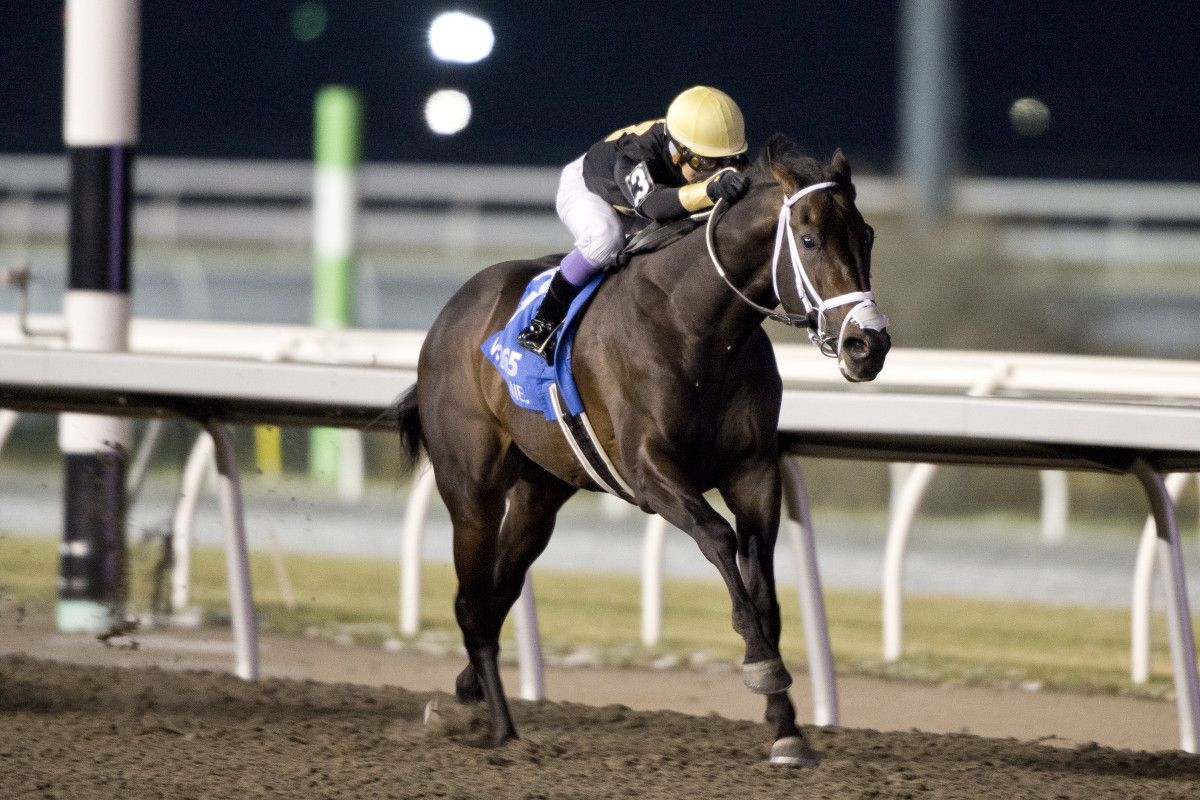 Download app from appStore