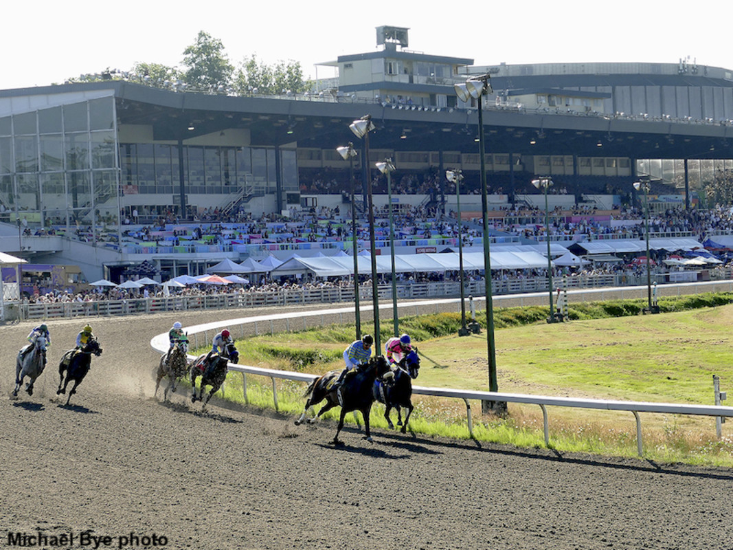 Hastings Racecourse's 133-year horse racing history comes to an end