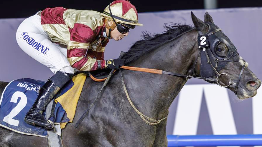 Download app from appStore