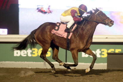 Download app from appStore