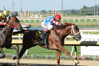 Download app from appStore