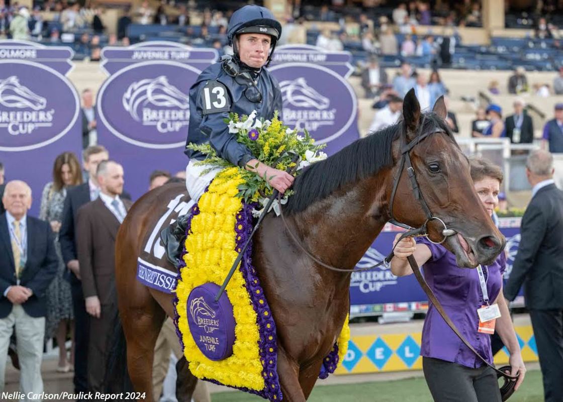 Download app from appStore