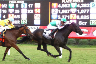 Download app from appStore