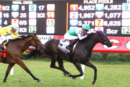 Download app from appStore