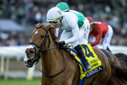 Download app from appStore