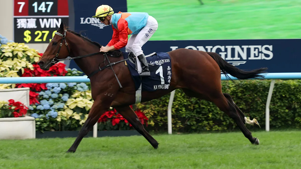 Download app from appStore