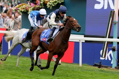 Download app from appStore