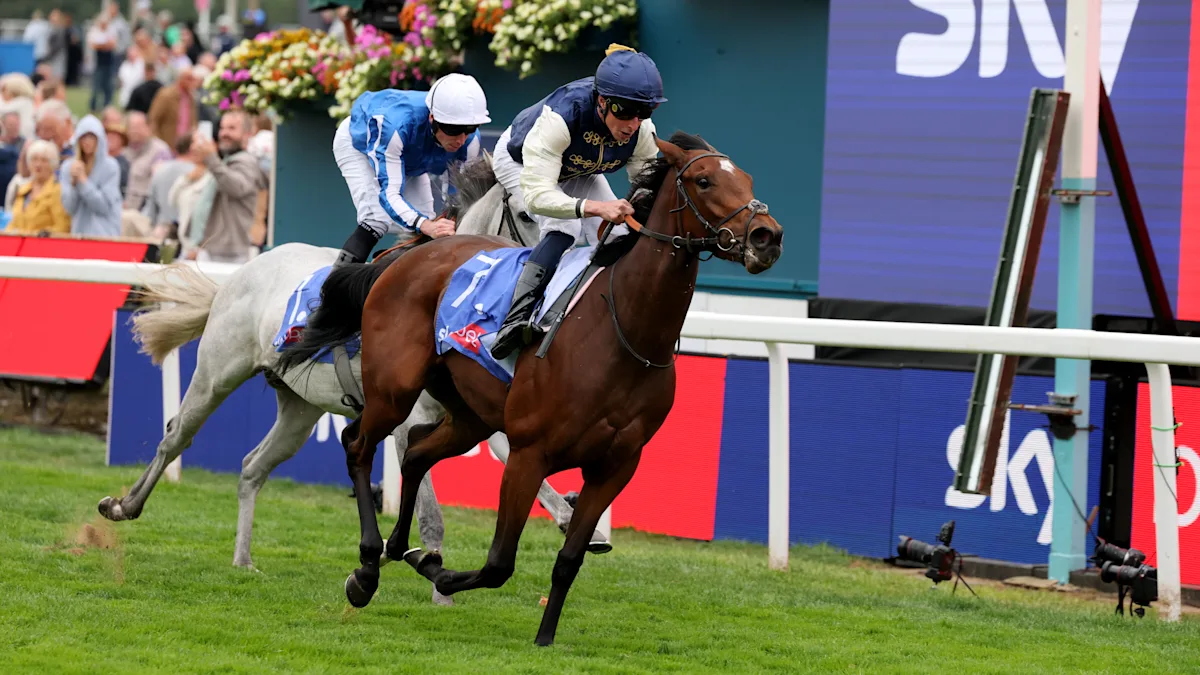 Download app from appStore