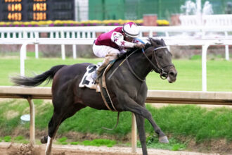 Download app from appStore