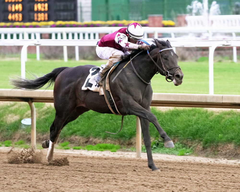 Download app from appStore