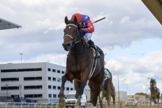 Download app from appStore