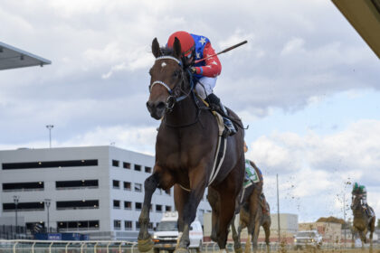 Download app from appStore