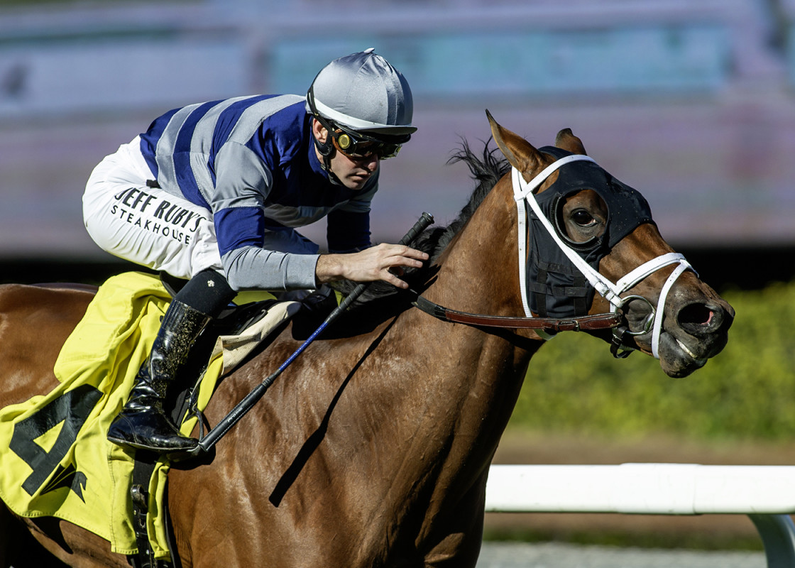 Download app from appStore