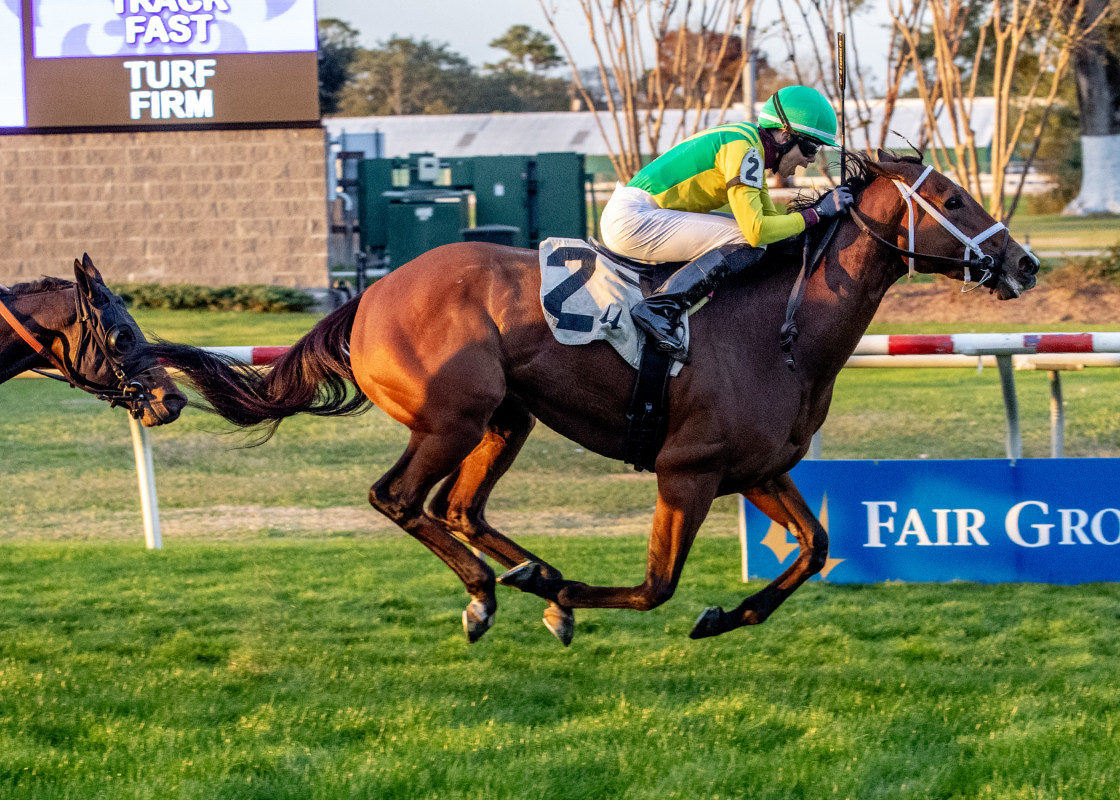 Download app from appStore