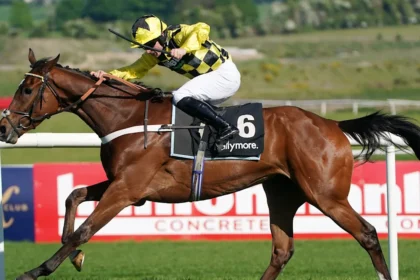 Download app from appStore